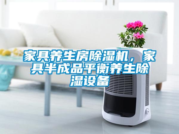 家具養(yǎng)生房除濕機(jī)，家具半成品平衡養(yǎng)生除濕設(shè)備