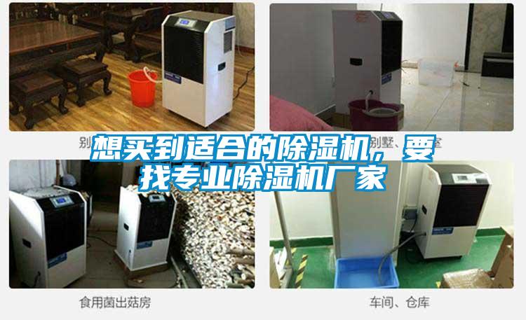 想買到適合的除濕機(jī)，要找專業(yè)除濕機(jī)廠家