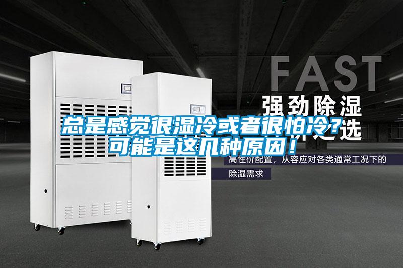總是感覺很濕冷或者很怕冷？可能是這幾種原因！