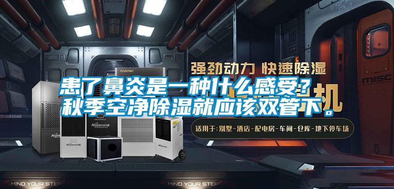 患了鼻炎是一種什么感受？ 秋季空凈除濕就應(yīng)該雙管下。