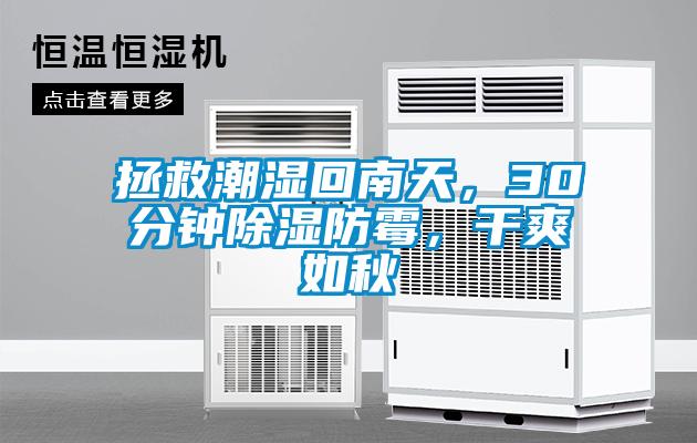 拯救潮濕回南天，30分鐘除濕防霉，干爽如秋