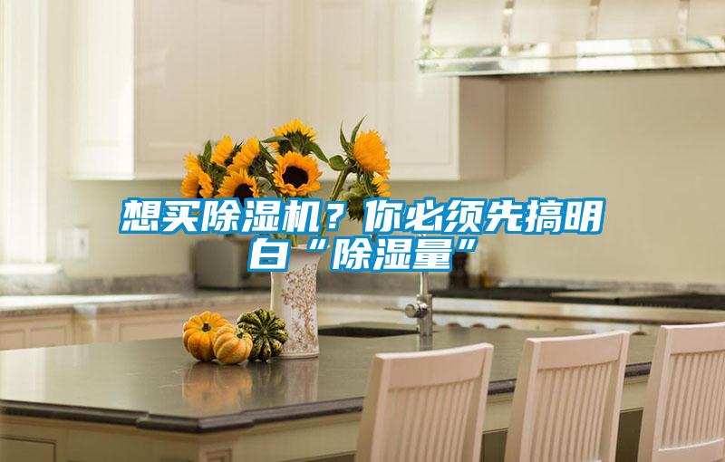 想買除濕機(jī)？你必須先搞明白“除濕量”