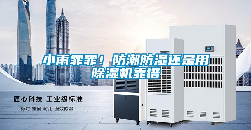 小雨霏霏！防潮防濕還是用除濕機(jī)靠譜