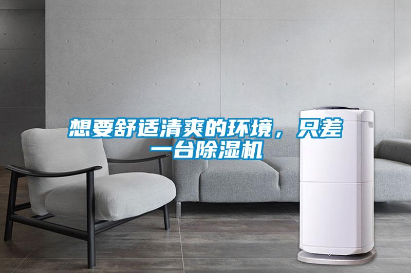想要舒適清爽的環(huán)境，只差一臺除濕機(jī)