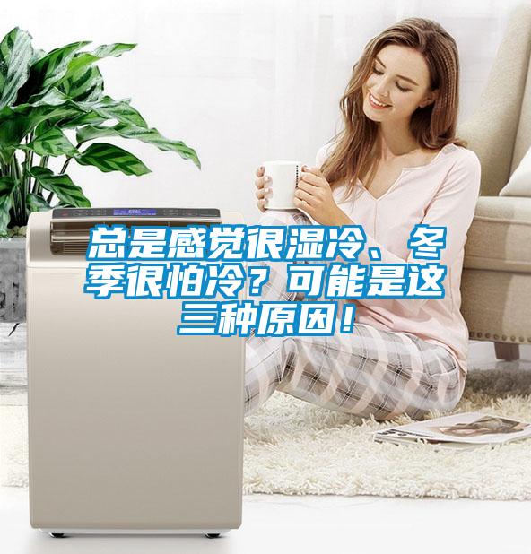 總是感覺很濕冷、冬季很怕冷？可能是這三種原因！