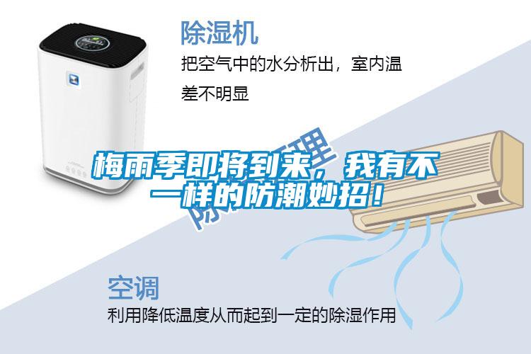 梅雨季即將到來(lái)，我有不一樣的防潮妙招！