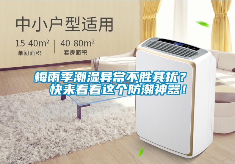 梅雨季潮濕異常不勝其擾？ 快來看看這個防潮神器！