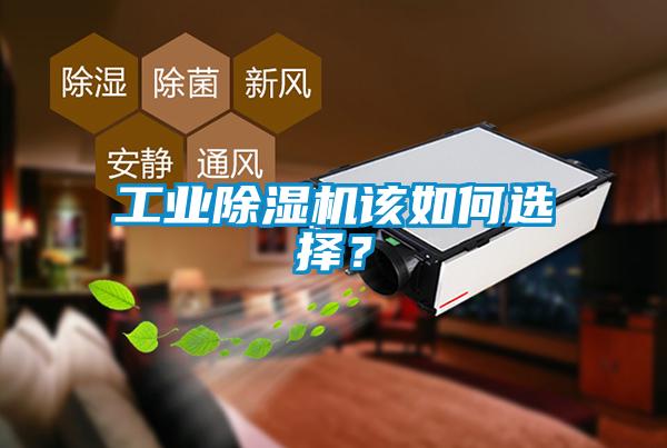 工業(yè)除濕機(jī)該如何選擇？