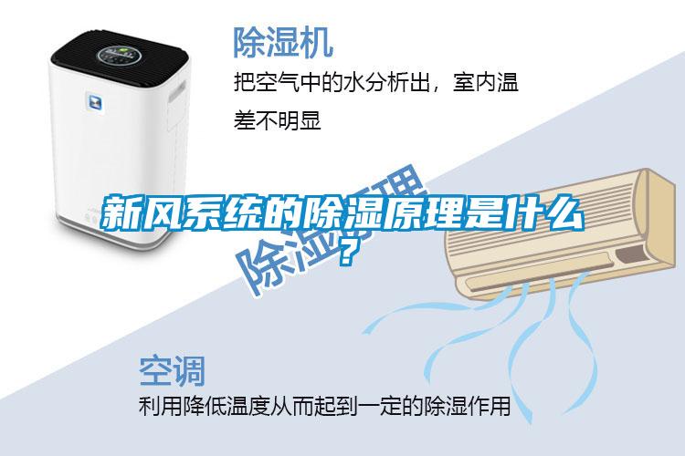 新風(fēng)系統(tǒng)的除濕原理是什么？