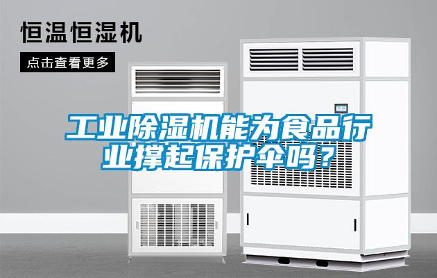 工業(yè)除濕機(jī)能為食品行業(yè)撐起保護(hù)傘嗎？