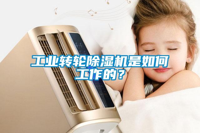 工業(yè)轉(zhuǎn)輪除濕機(jī)是如何工作的？
