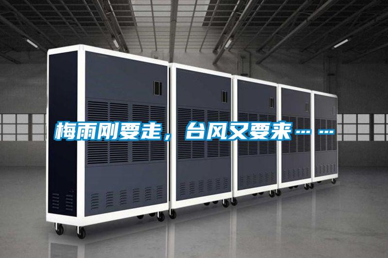 梅雨剛要走，臺(tái)風(fēng)又要來……