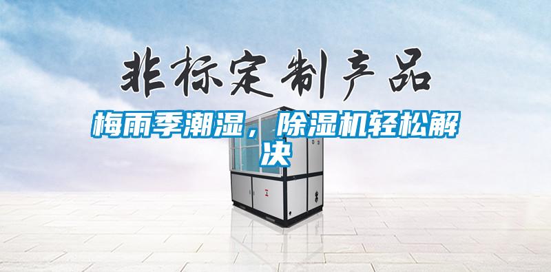 梅雨季潮濕，除濕機(jī)輕松解決