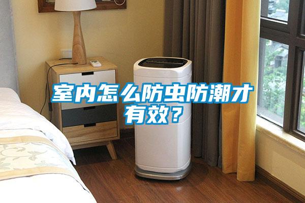 室內(nèi)怎么防蟲防潮才有效？