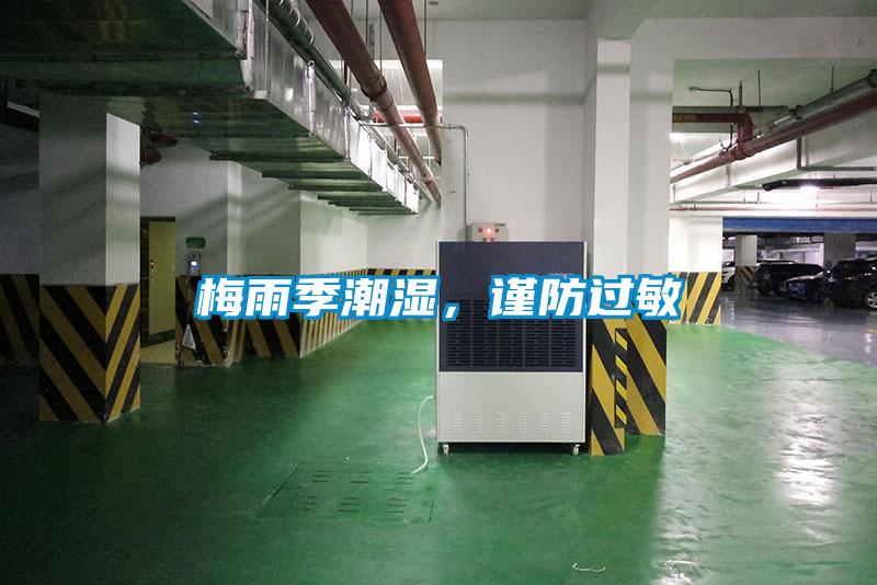 梅雨季潮濕，謹防過敏