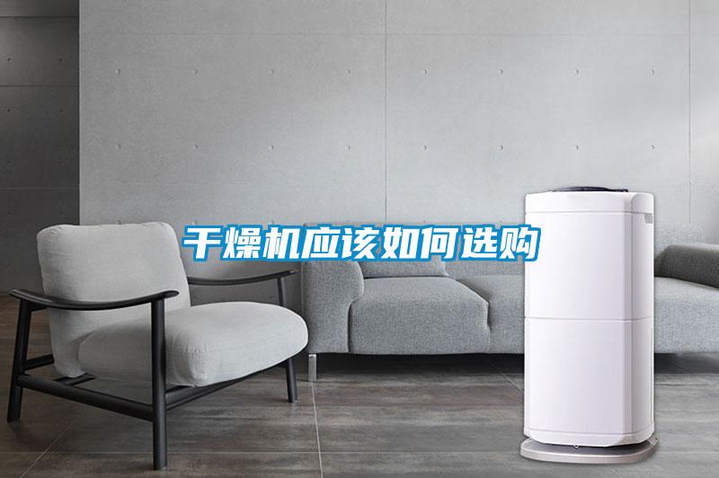 年年除濕年年濕，如何快速除濕？