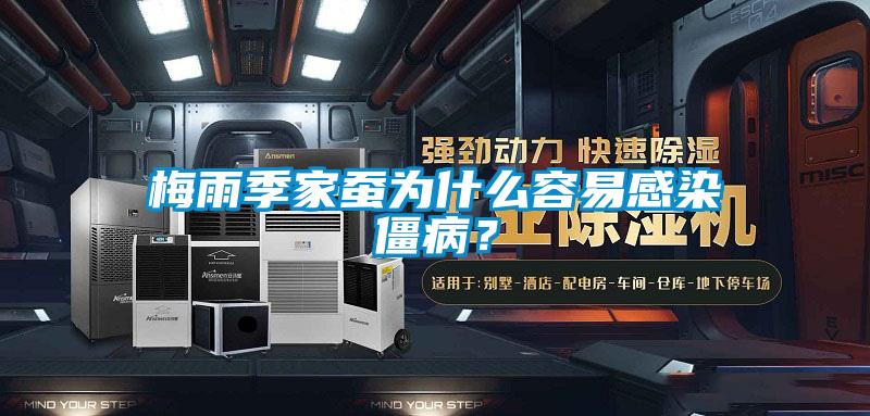 梅雨季家蠶為什么容易感染僵??？