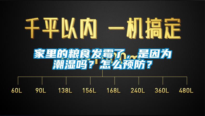 家里的糧食發(fā)霉了，是因?yàn)槌睗駟?？怎么預(yù)防？
