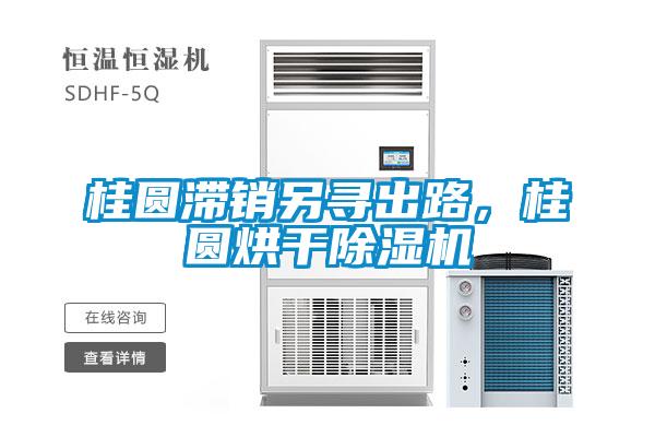 桂圓滯銷另尋出路，桂圓烘干除濕機(jī)