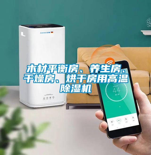 木材平衡房、養(yǎng)生房、干燥房、烘干房用高溫除濕機(jī)