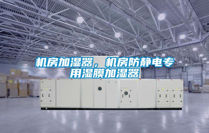 機(jī)房加濕器，機(jī)房防靜電專用濕膜加濕器