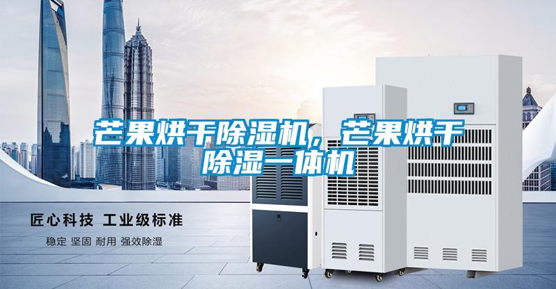 芒果烘干除濕機，芒果烘干除濕一體機
