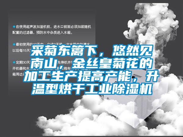 采菊東籬下，悠然見(jiàn)南山，金絲皇菊花的加工生產(chǎn)提高產(chǎn)能，升溫型烘干工業(yè)除濕機(jī)