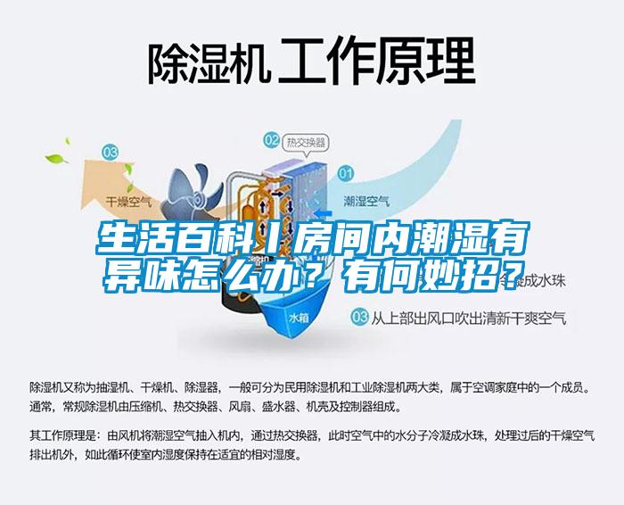 生活百科丨房間內(nèi)潮濕有異味怎么辦？有何妙招？