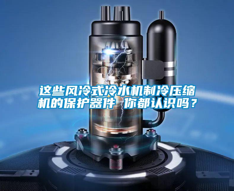 這些風(fēng)冷式冷水機(jī)制冷壓縮機(jī)的保護(hù)器件 你都認(rèn)識嗎？