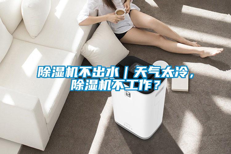 除濕機不出水｜天氣太冷，除濕機不工作？