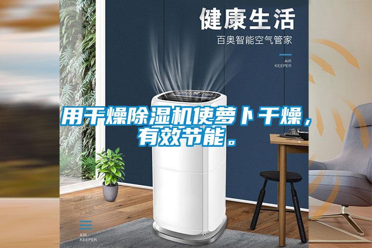用干燥除濕機(jī)使蘿卜干燥，有效節(jié)能。