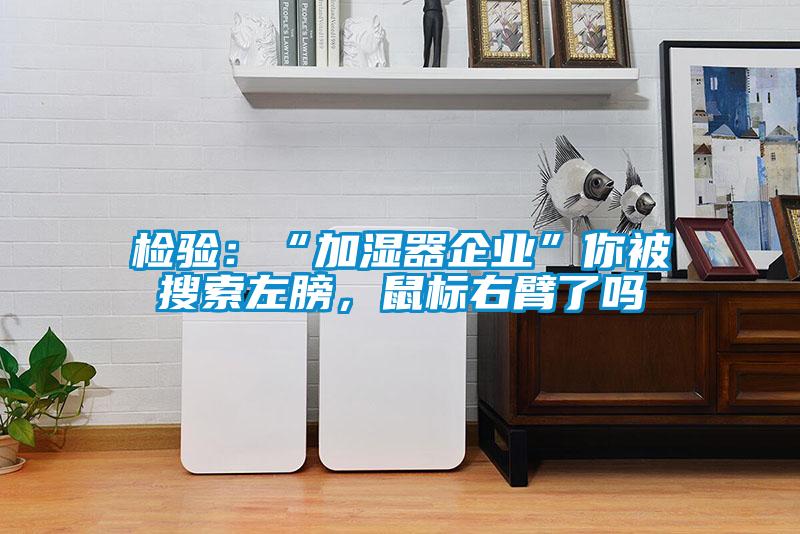 檢驗(yàn)：“加濕器企業(yè)”你被搜索左膀，鼠標(biāo)右臂了嗎