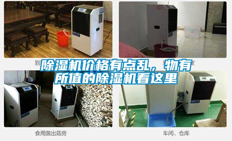 除濕機(jī)價(jià)格有點(diǎn)亂，物有所值的除濕機(jī)看這里
