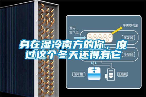 身在濕冷南方的你，度過這個冬天還得有它