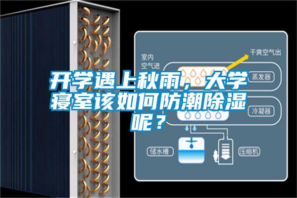 開(kāi)學(xué)遇上秋雨，大學(xué)寢室該如何防潮除濕呢？