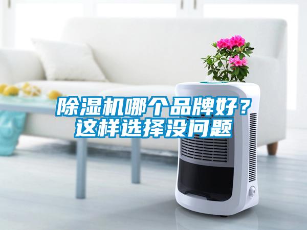 除濕機(jī)哪個品牌好？這樣選擇沒問題