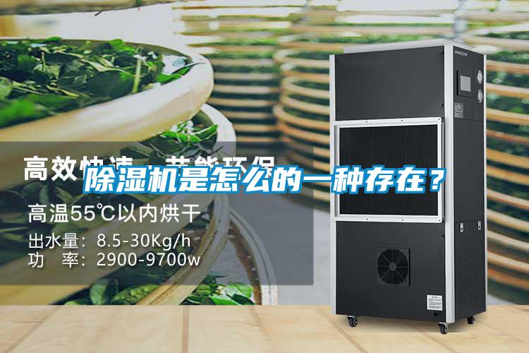 除濕機是怎么的一種存在？