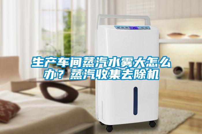 生產(chǎn)車間蒸汽水霧大怎么辦？蒸汽收集去除機