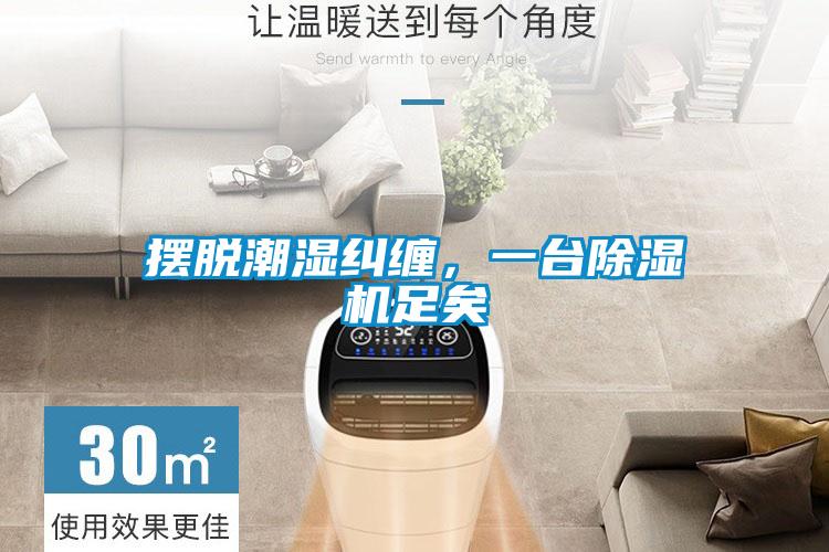 擺脫潮濕糾纏，一臺(tái)除濕機(jī)足矣