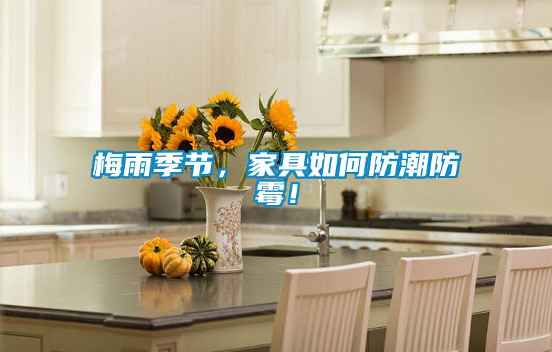 梅雨季節(jié)，家具如何防潮防霉！