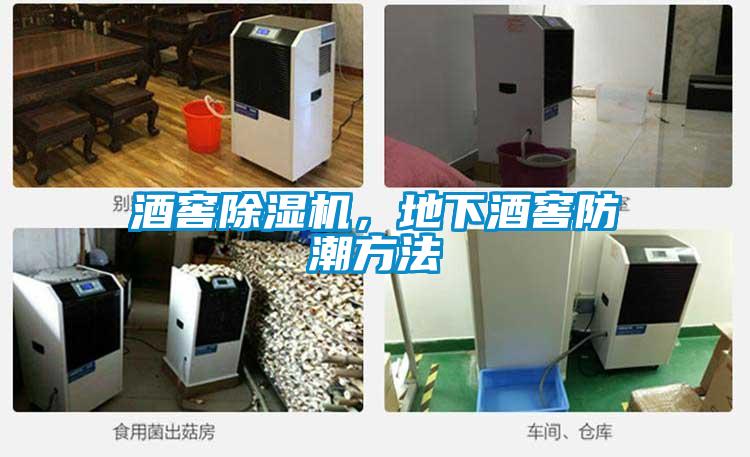 酒窖除濕機，地下酒窖防潮方法