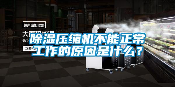 除濕壓縮機(jī)不能正常工作的原因是什么？