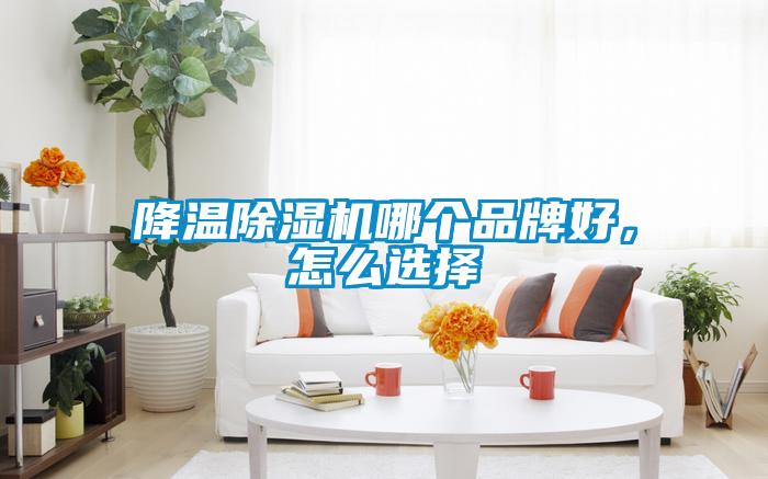 降溫除濕機哪個品牌好，怎么選擇