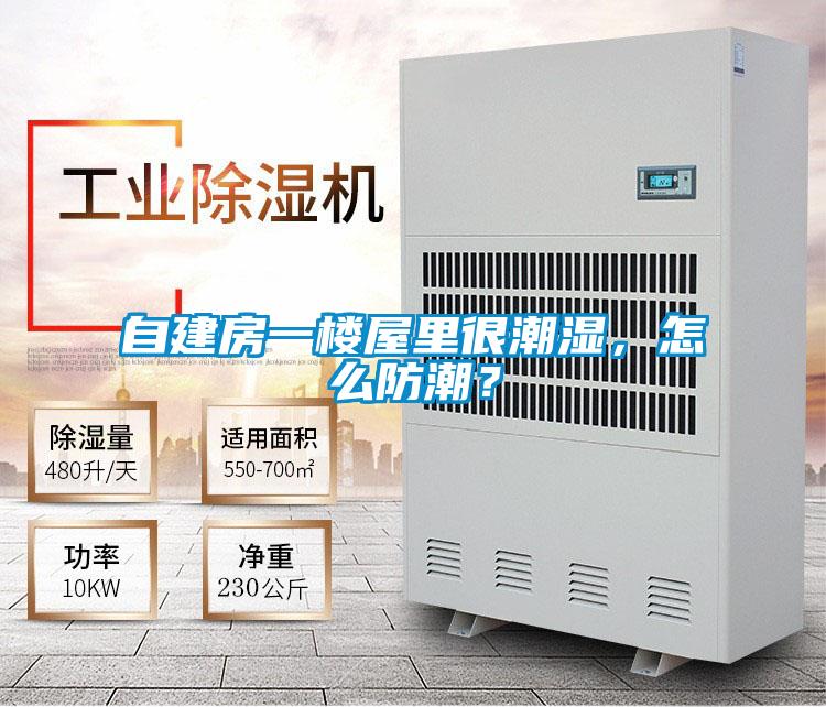 自建房一樓屋里很潮濕，怎么防潮？
