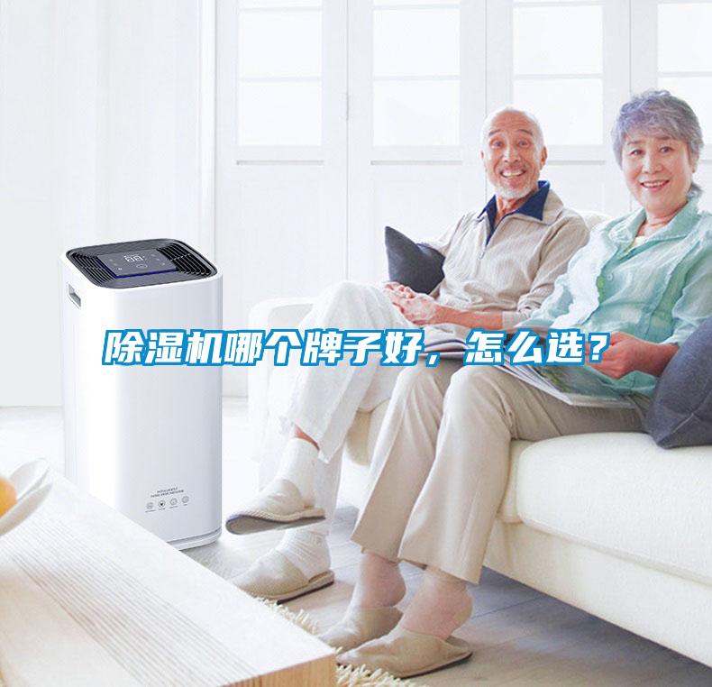 除濕機(jī)哪個(gè)牌子好，怎么選？