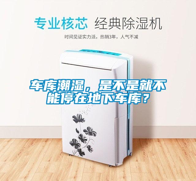 車(chē)庫(kù)潮濕，是不是就不能停在地下車(chē)庫(kù)？