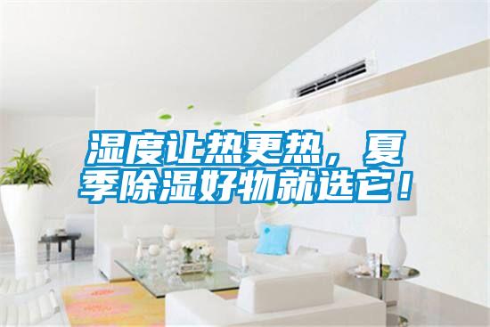 濕度讓熱更熱，夏季除濕好物就選它！