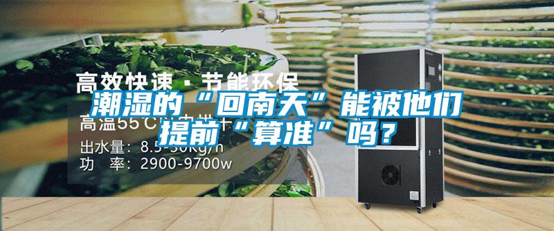 潮濕的“回南天”能被他們提前“算準(zhǔn)”嗎？