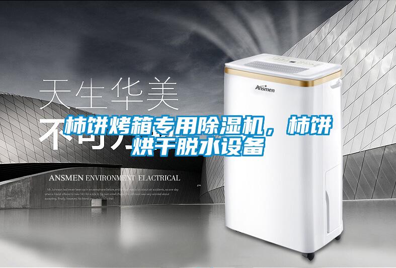 柿餅烤箱專用除濕機,柿餅烘干脫水設(shè)備