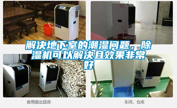 解決地下室的潮濕問題，除濕機可以解決且效果非常好